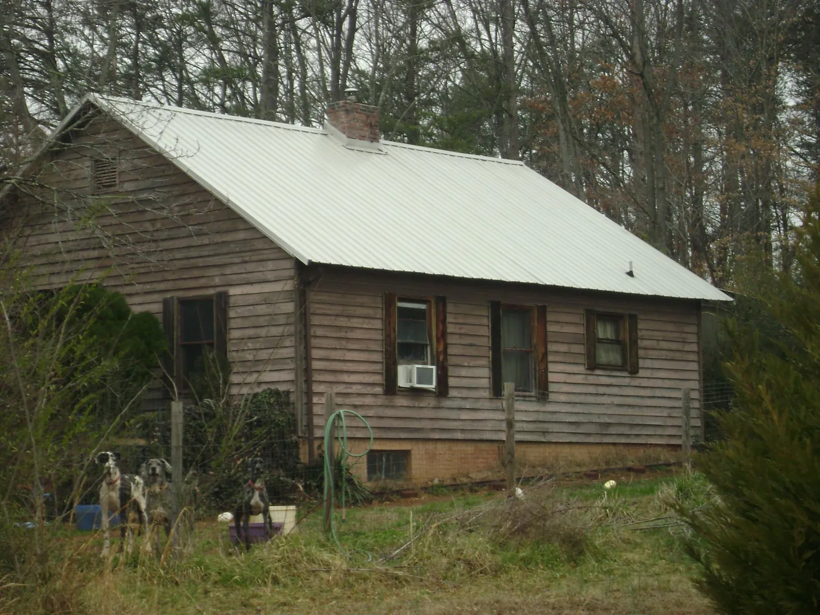White metal roof on an old wood sided farmhouse, from a Asphalt Shingle Roof Repair job in Colfax